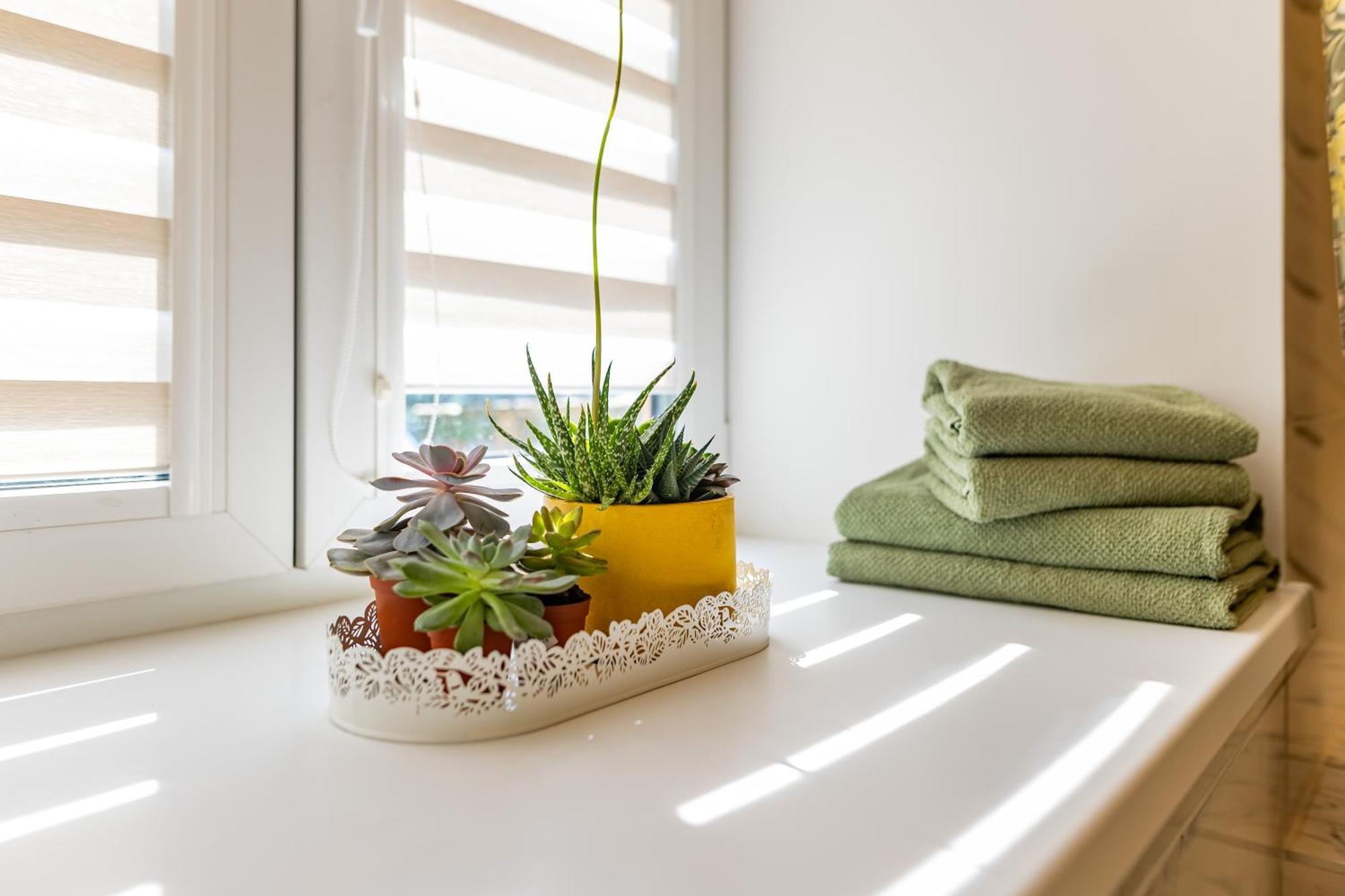 Raugyklos Apartamentai VNO Dış mekan fotoğraf